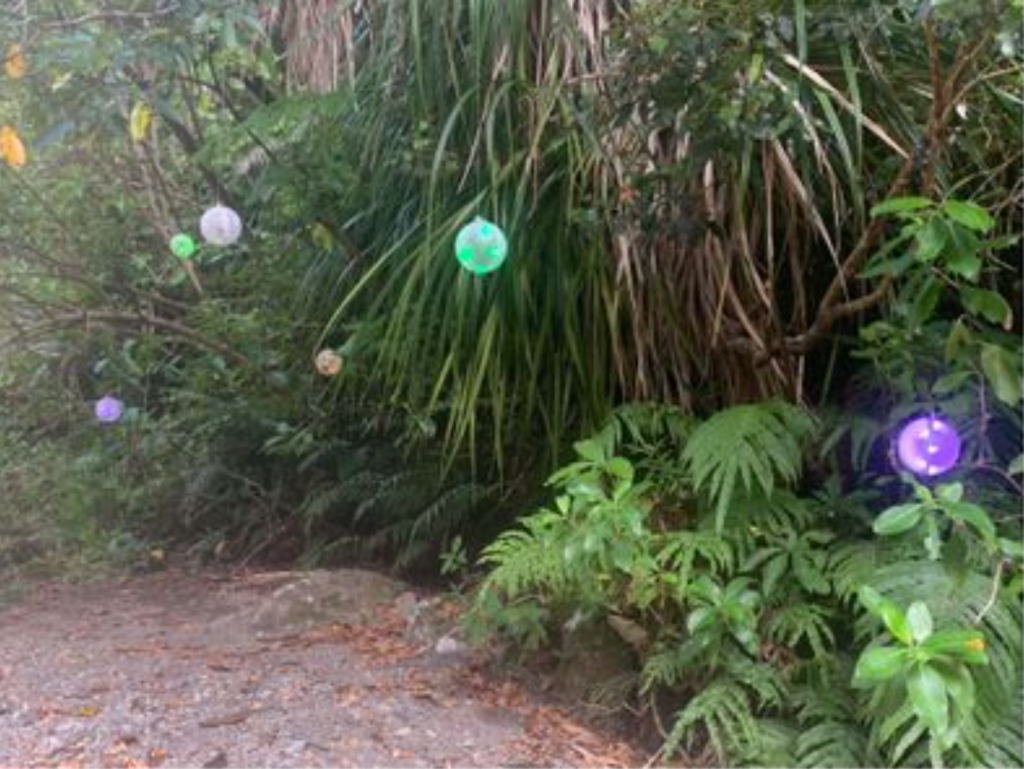 Speculātor units installed in Kaitoke Regional Park in February 2020.